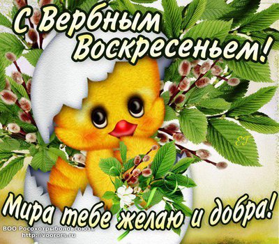 Верб.jpg