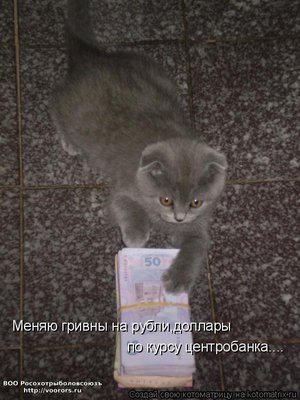 гр.jpg