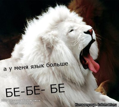 яз.jpg
