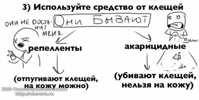 klesh_06.jpg
