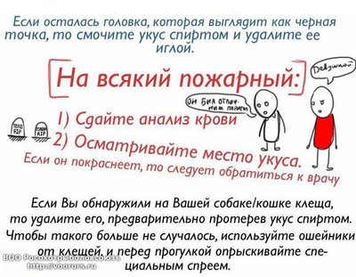 klesh2_2.jpg