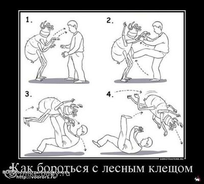 34184874.242039503.jpeg