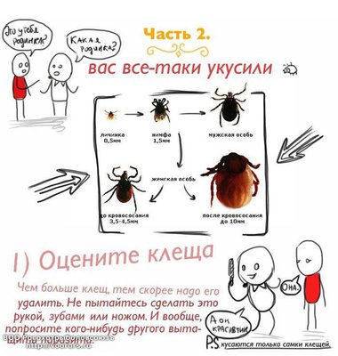 klesh2_0.jpg