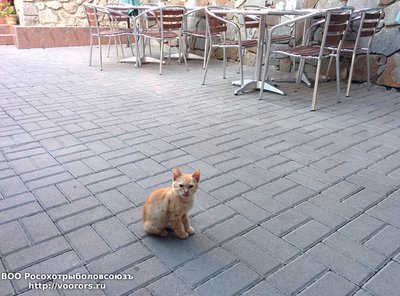 IMG_20140909_081755.jpg