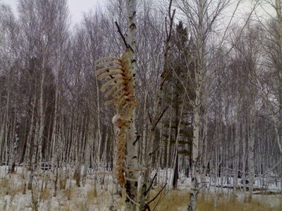 17112012059.jpg