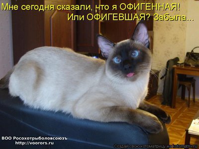 оф.jpg