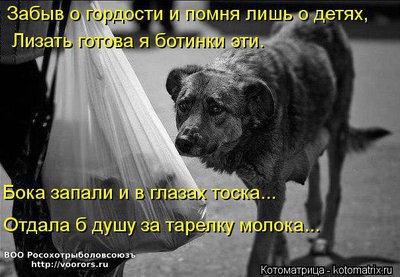 отр.jpg