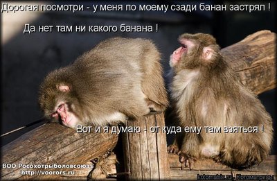 бан1.jpg