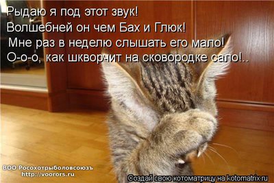 зв.jpg