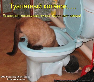 ту.jpg
