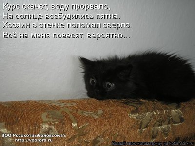 пов.jpg
