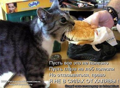 хал.jpg