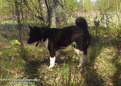 DSC_3701 - копия.jpg