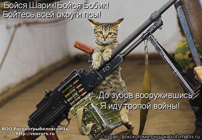 бой.jpg