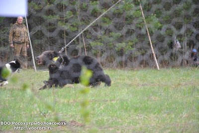 DSC_0056.JPG