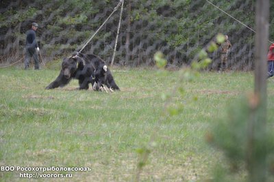 DSC_0059.JPG