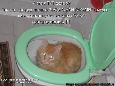 кака.jpg