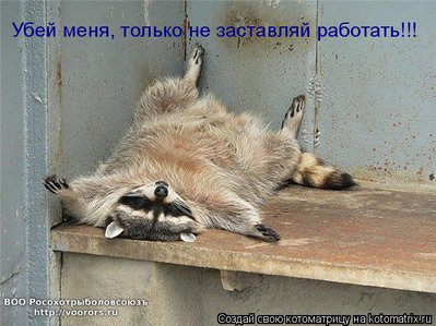 раб1.jpg