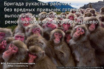 тут.jpg