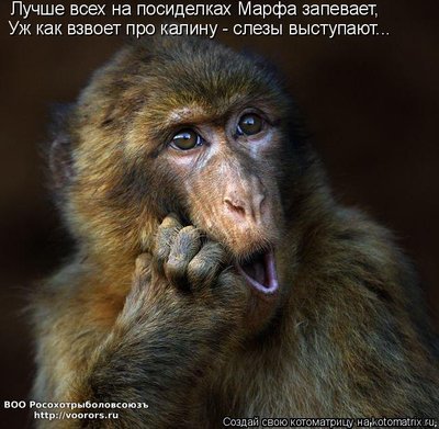 кал.jpg