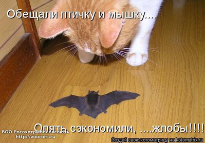 пт.jpg