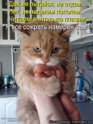 сам.jpg