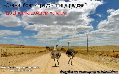дн.jpg