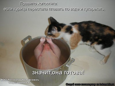 кур.jpg