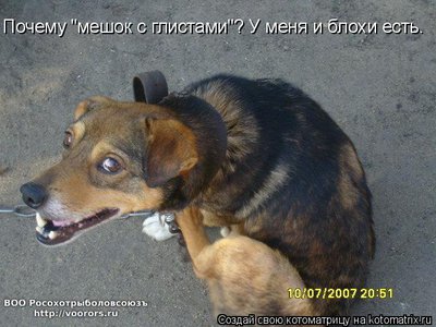 гл.jpg