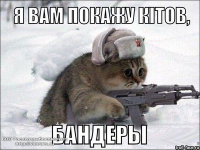img_393379619_6416_1.jpg