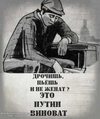 21059104.jpg