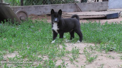 IMG_0998.JPG