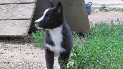IMG_1001.JPG