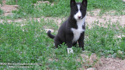 IMG_1005.JPG
