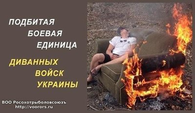 imageQHNXXM7T.jpg