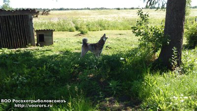 DSC_000005.JPG