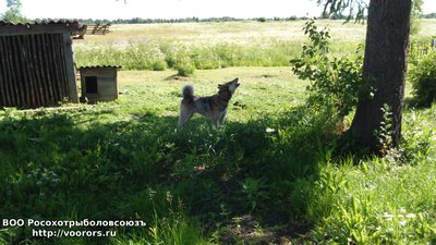 DSC_000007.JPG