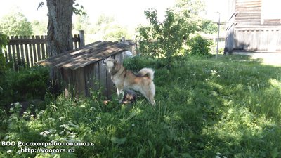 DSC_000011.JPG