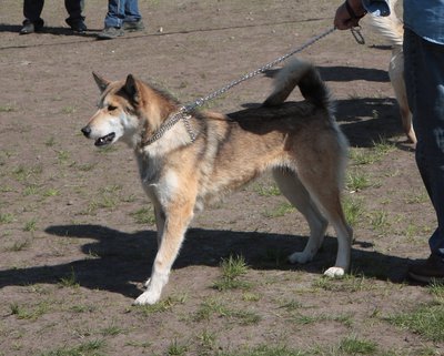 IMG_0578 н.jpg