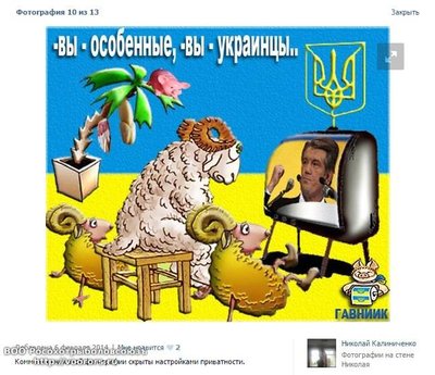 бар.jpg