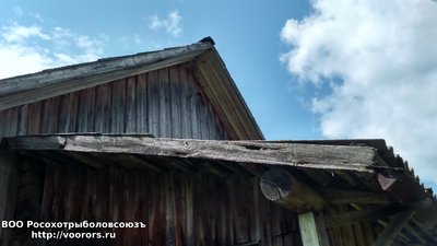 DSC_0017.JPG