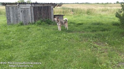 DSC_0020.JPG