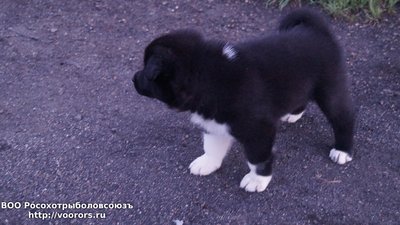 DSC03350.JPG
