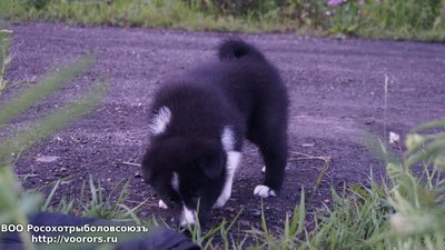DSC03326.JPG