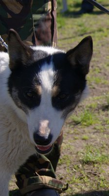 DSC005081ув.jpg