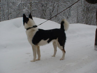 DSC00068.JPG