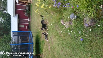 IMG-1438086184866-V.jpg