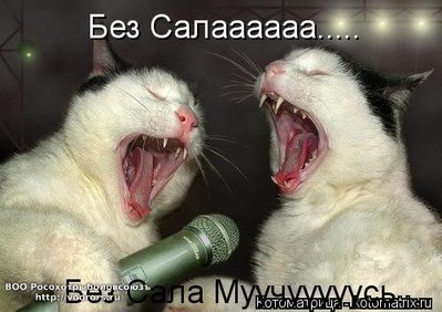сало.jpg