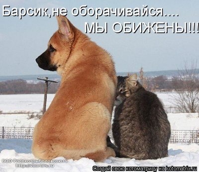 бар.jpg