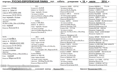 Снимок экрана 2015-08-20 в 20.53.40.png